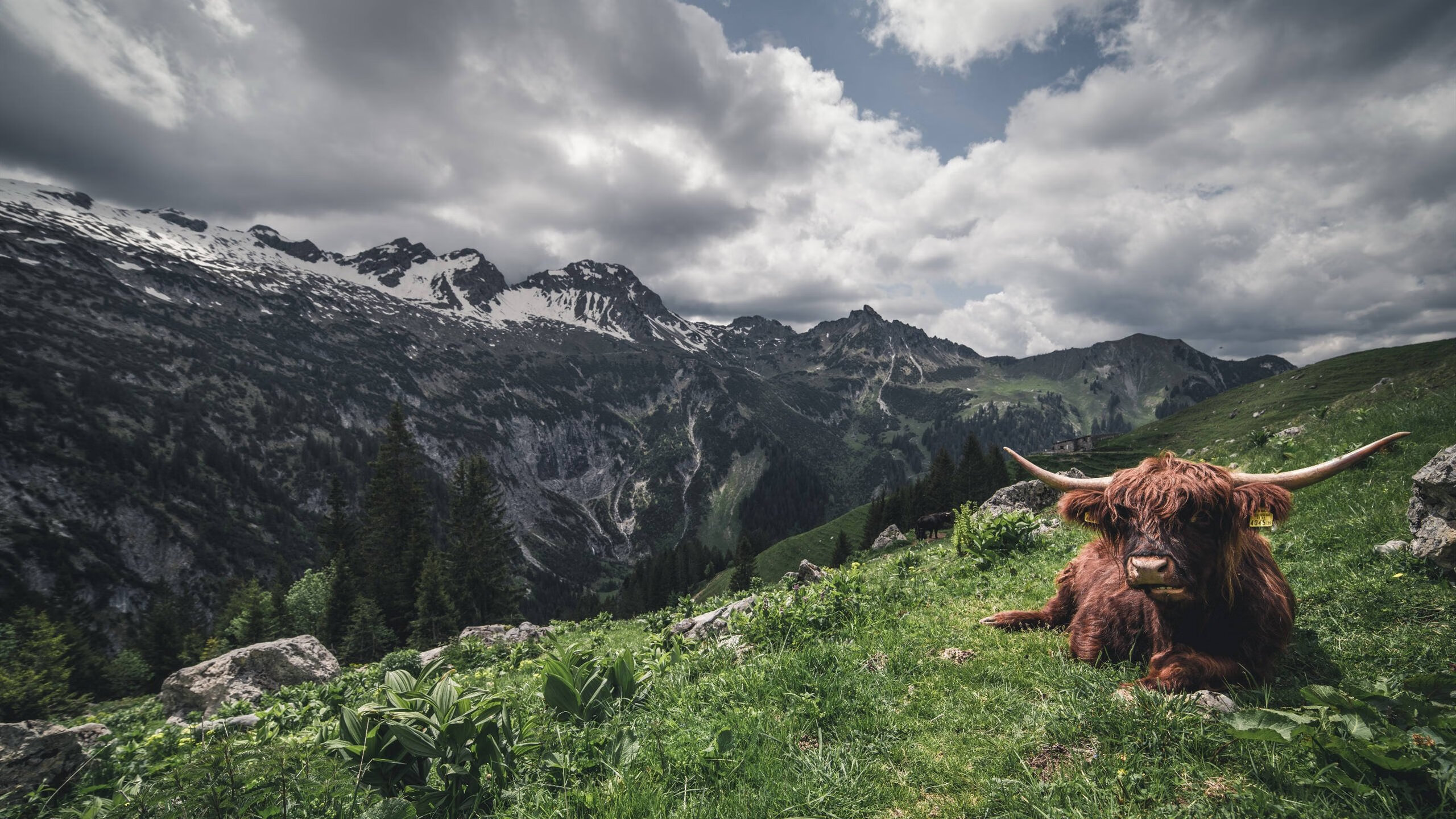 传奇巨星的“人生第二春”，退役后再创辉煌，传奇巨星是谁