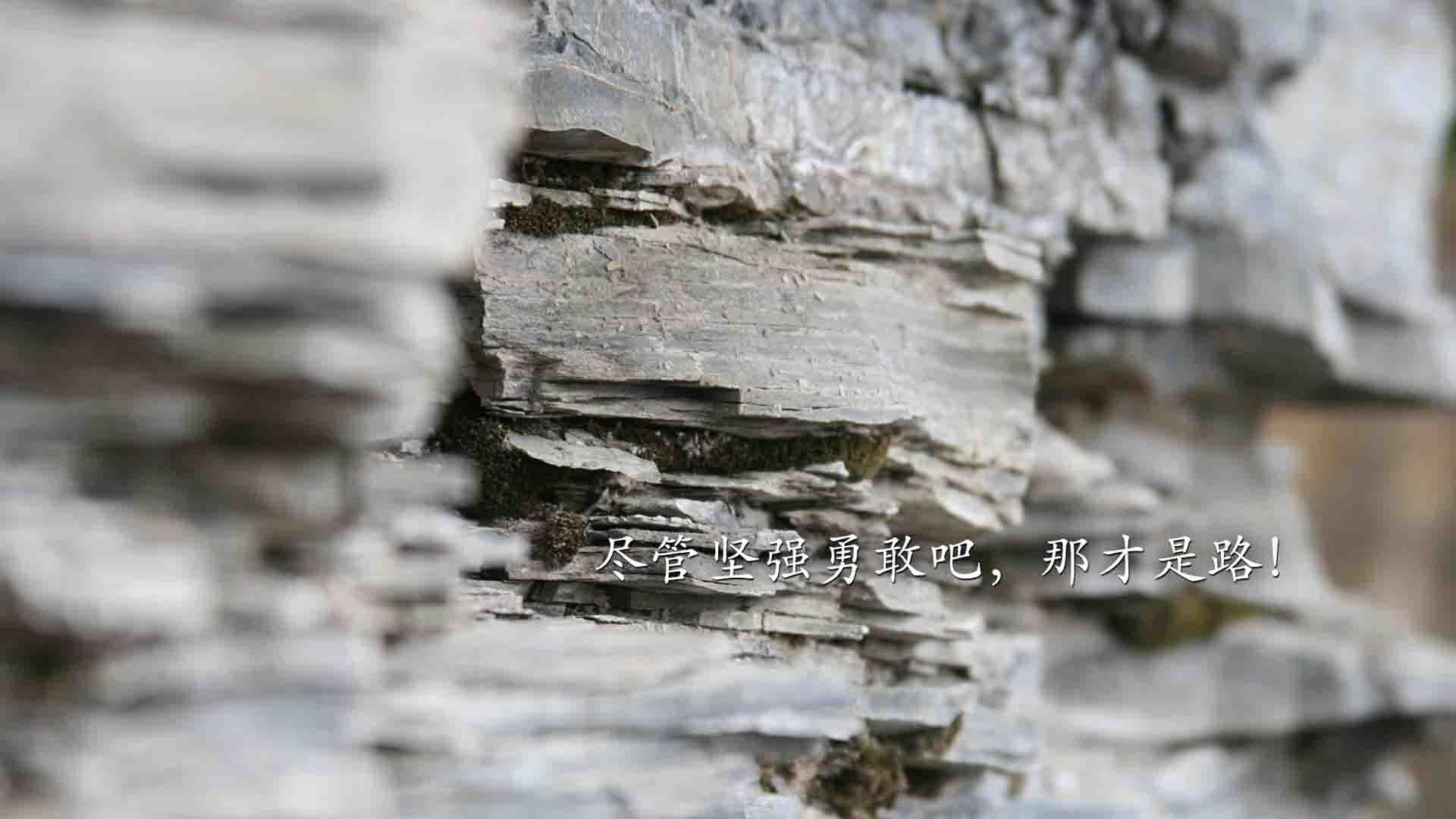 _掘金士气高昂，攻防两端表现出色_，掘金的战术