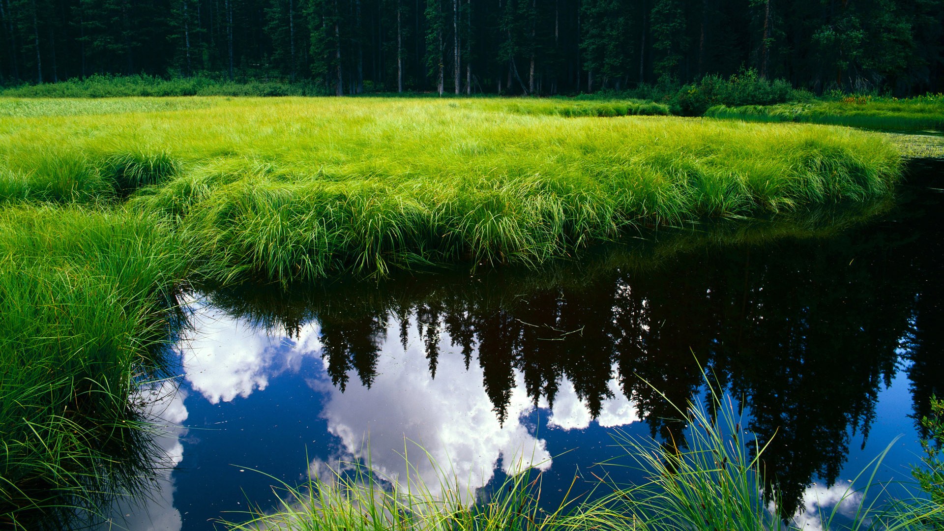 【经典瞬间】马克·塞尔比的极限防守回放，马克塞尔比冠军一览