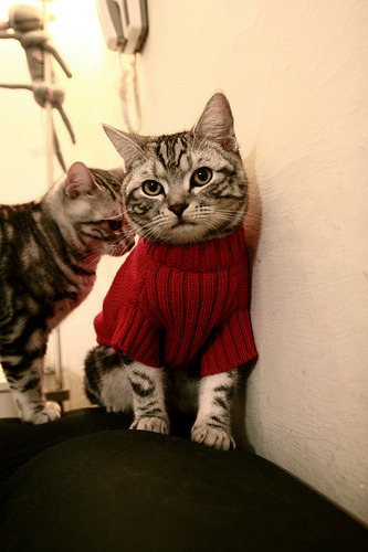 【经典瞬间】马克·塞尔比的极限防守回放，马克塞尔比冠军一览