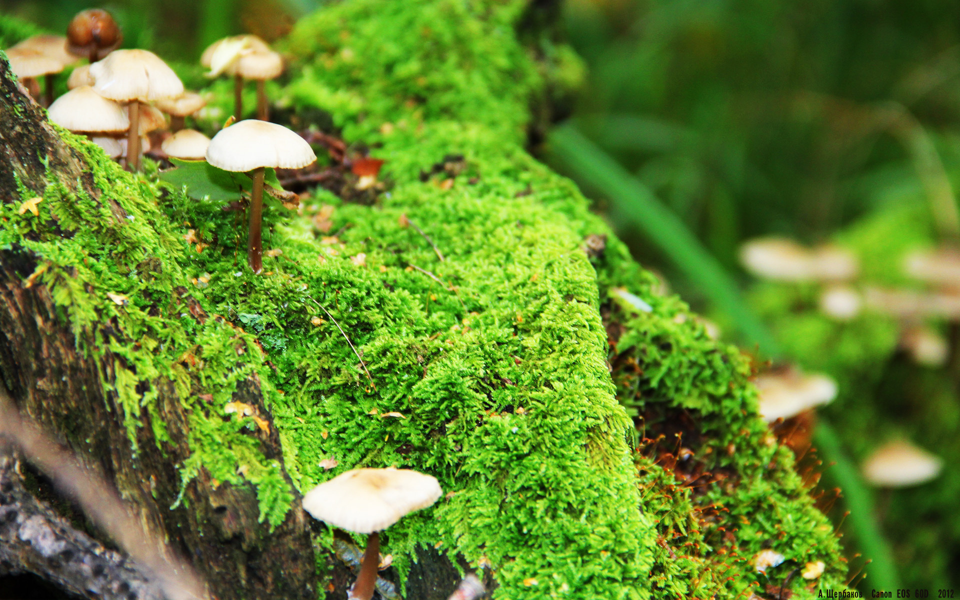 九游体育电竞官网-全国轮滑竞速比赛，青春在速度中加速，轮滑联赛