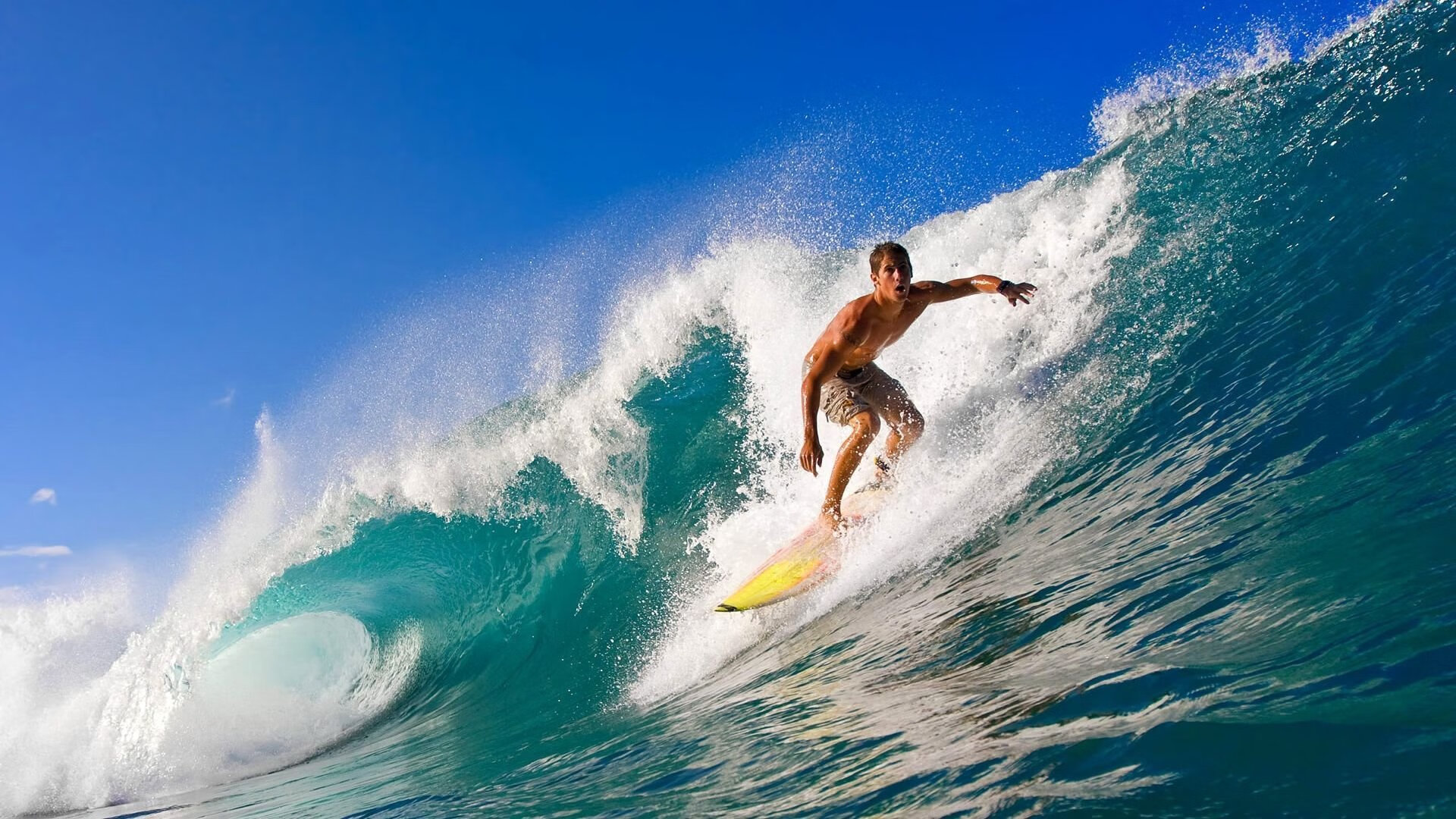 绿色场馆覆盖智能环保系统，推动全球体育绿色低碳行动，绿色场馆建设